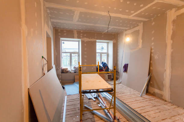 Professional Mold Removal in Granville South, OH