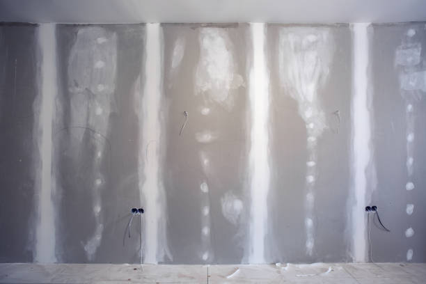Best Environmental Consulting for Mold Prevention  in Granville South, OH